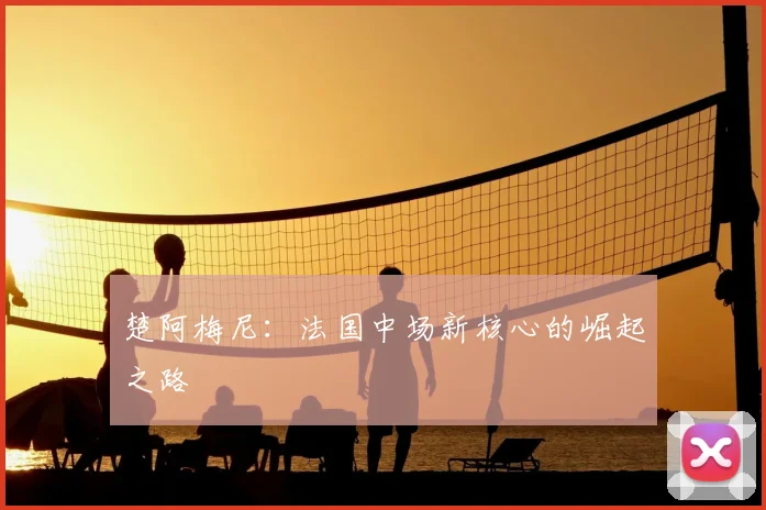 楚阿梅尼：法国中场新核心的崛起之路
